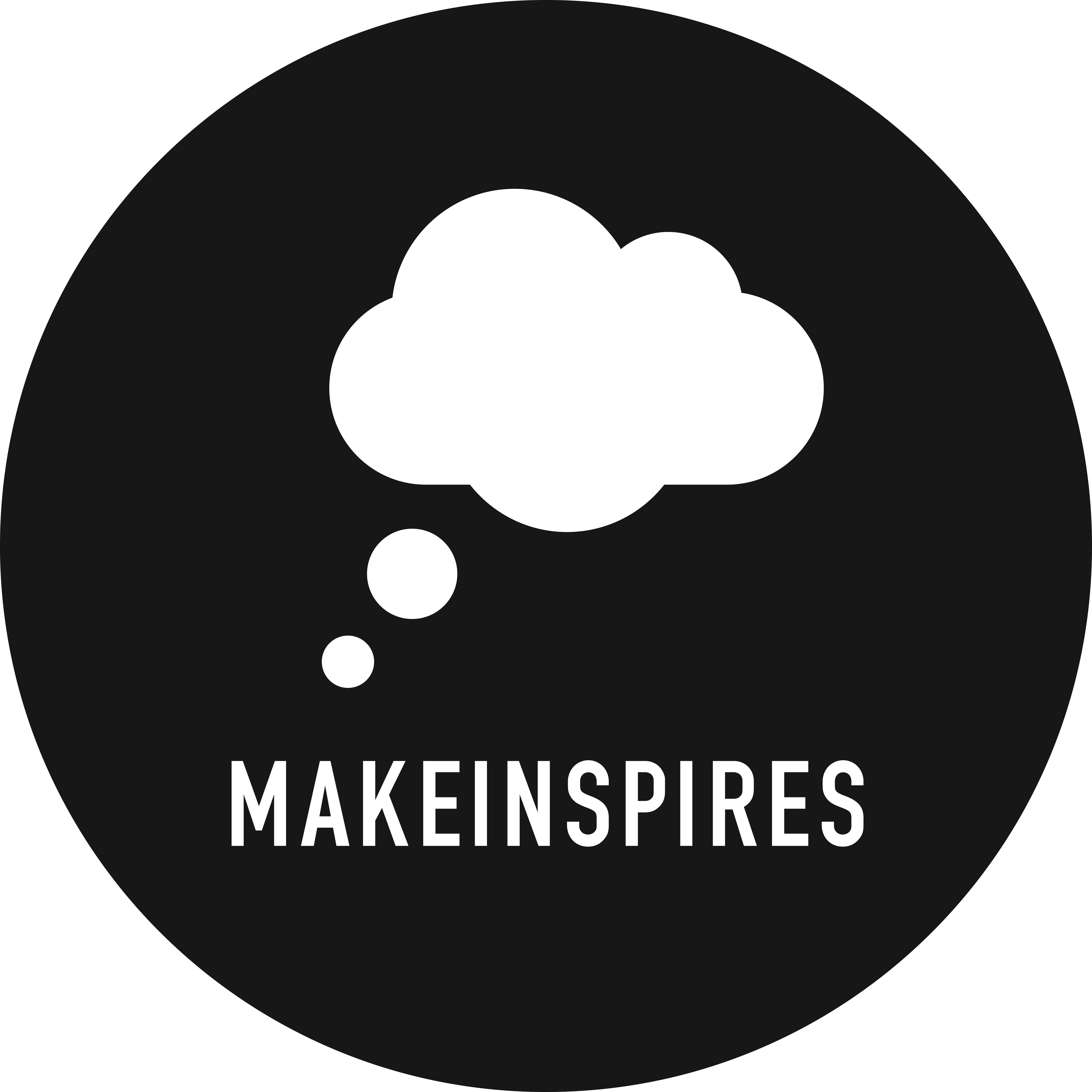MakeInspires project image