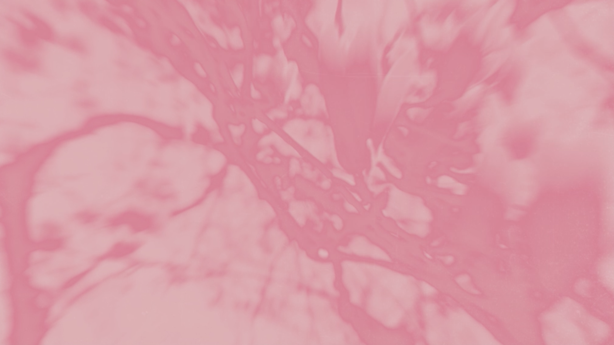 A Moment of Love - exhibit detail 3