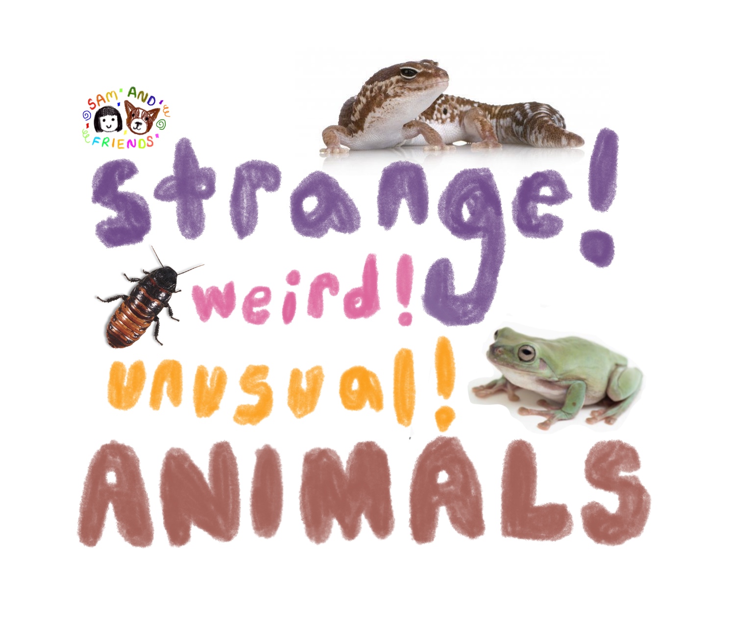 Strange! Weird! Unusual! Animal