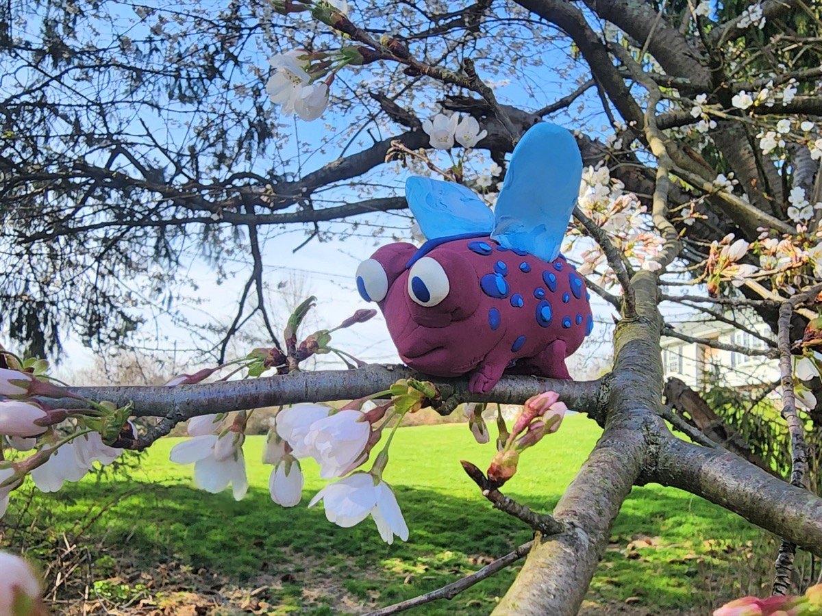 Design a Frog with Science Friday Photo